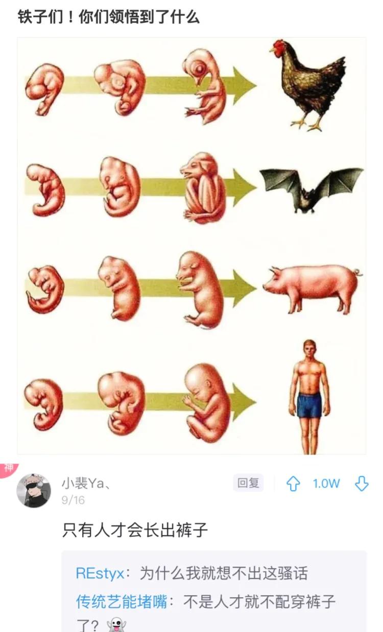 神回复：三个人打牌被抓，你猜是谁输了？神评笑死你