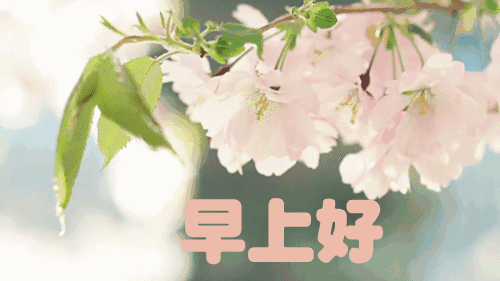早上好温馨问候语动态图片合集 祝福送给你，平安喜悦，事事圆满图片