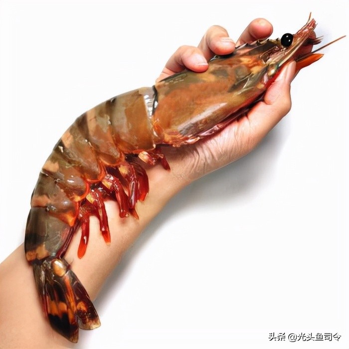 黑虎虾的美味做法，轻松掌握一只虾的精彩滋味