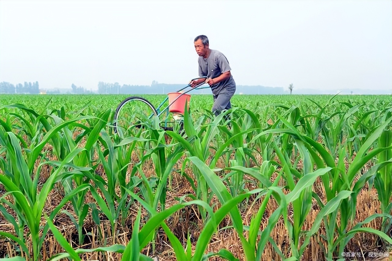给你几亩地,你知道如何种庄稼吗?