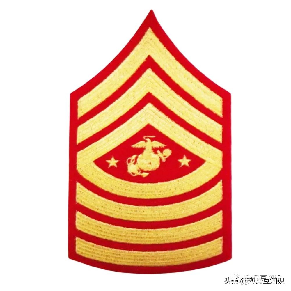 軍銜樣式薪級代碼 / 軍銜名稱e-6staff sergeant【ssgt:上士】和其它