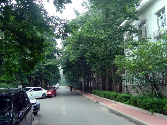 2012年07月08日 回到老地方