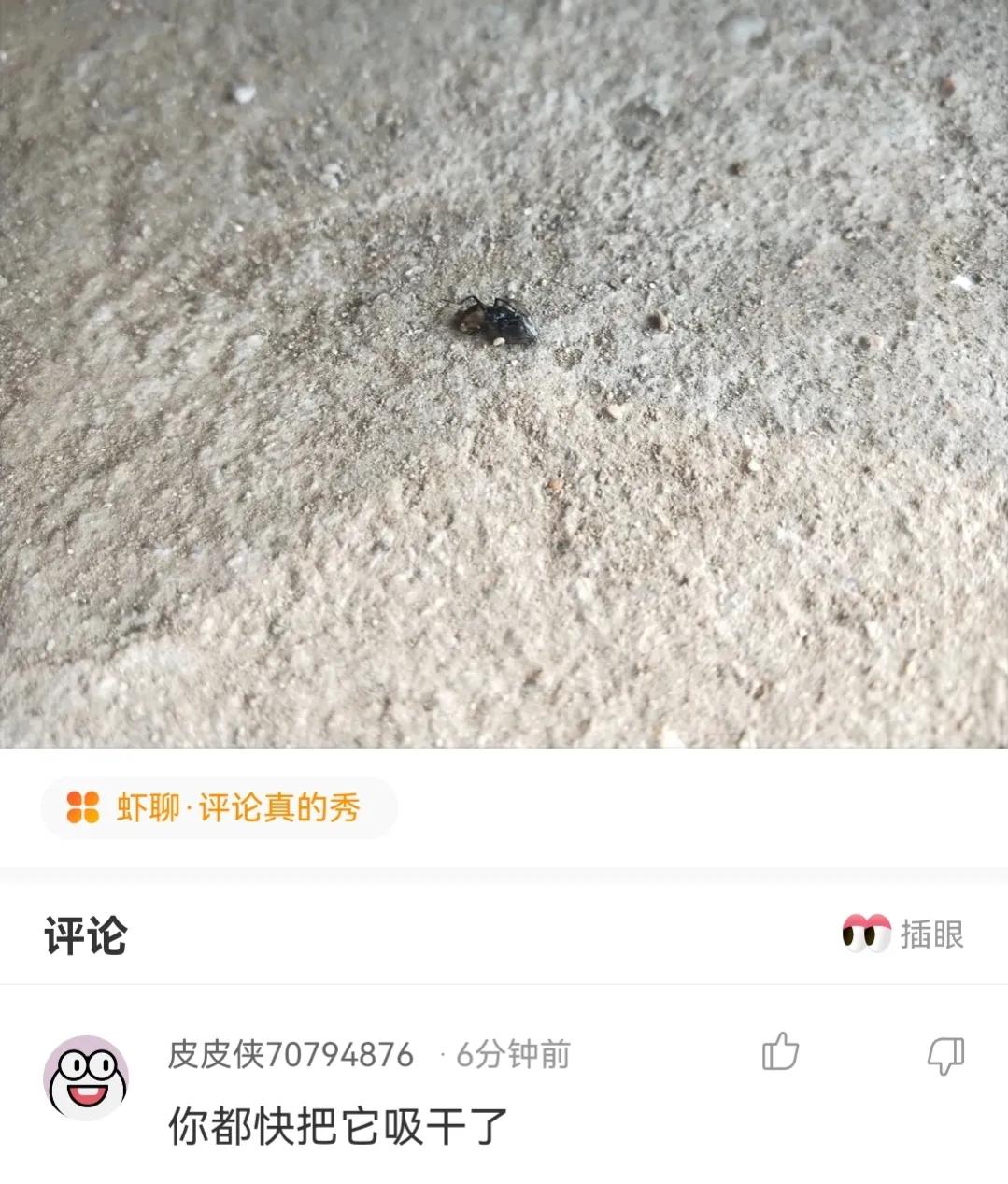 神回复，疫苗接种两个月后怀孕了，还吃了感冒药，孩子还能要吗？