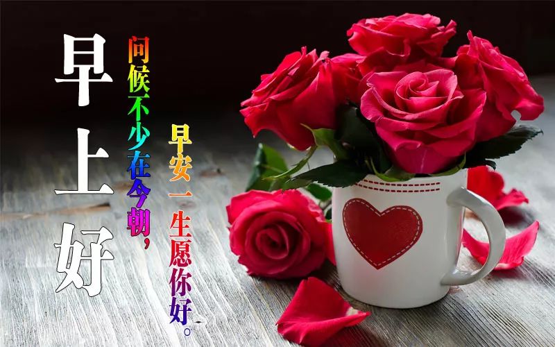 2022唯美夏天早上好问候语图片文字精选 不变的牵挂、永恒的祝福图片