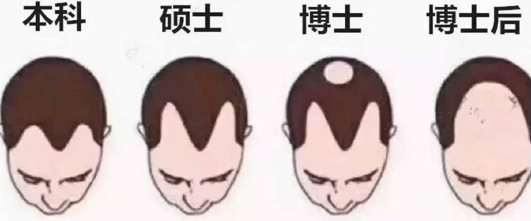 “研究生”和“本科生”到底差哪了？5张图鲜明对比，让你看透彻