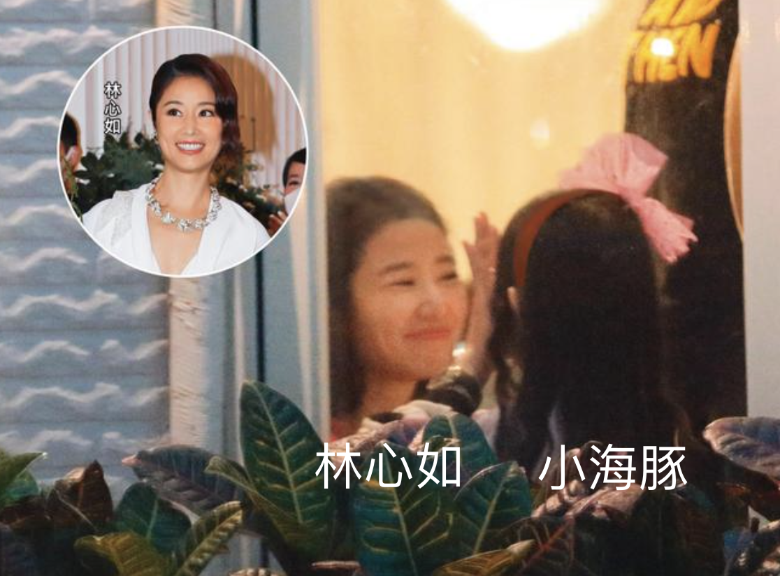 霍建华包场为女儿办生日派对，林心如逗孩子开心，小海豚背影超萌