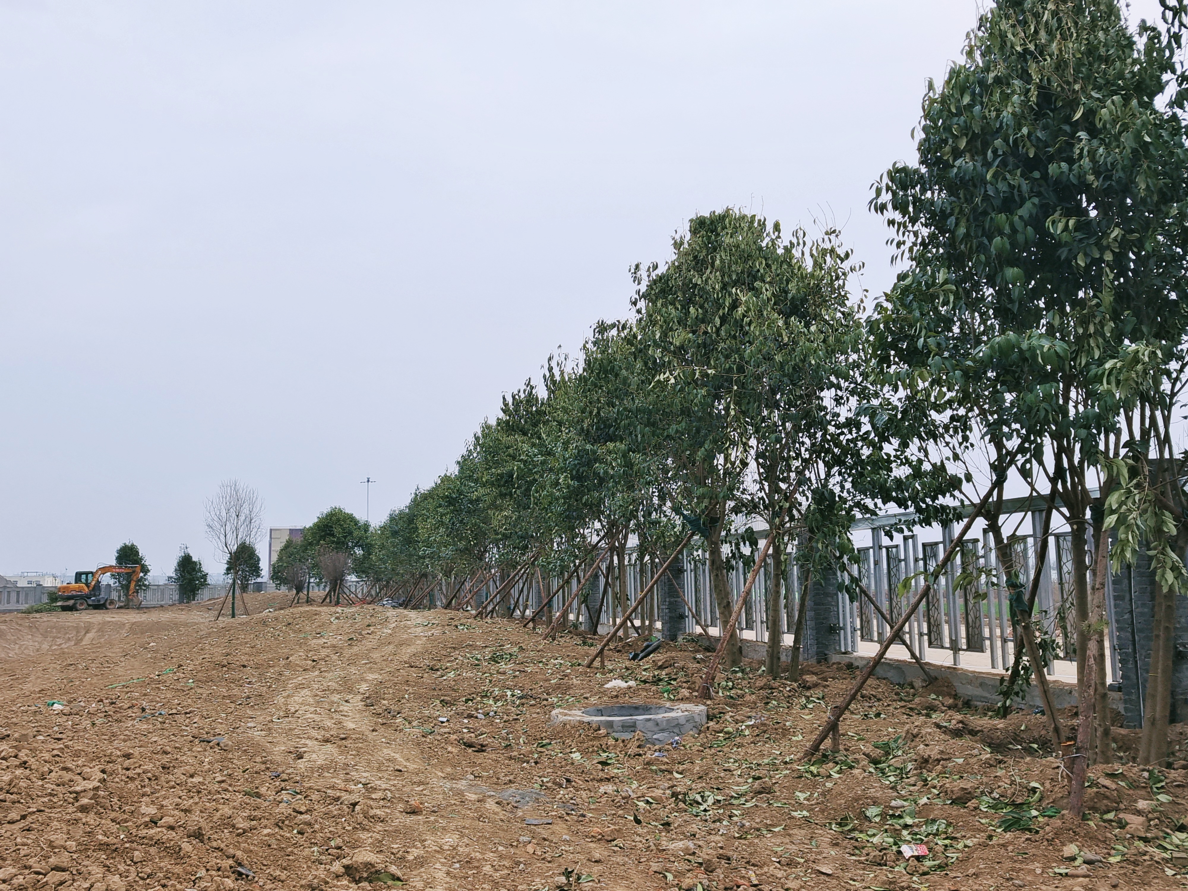 相约种植绿色友谊 携手共建精品工程