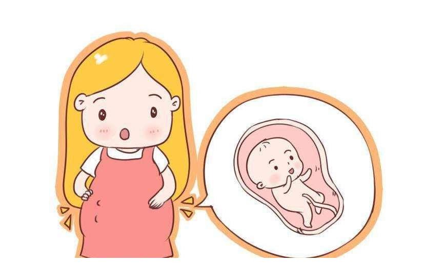 孕妈日记｜胎动好比宝宝的“健康表”，你数胎动的方法正确吗？