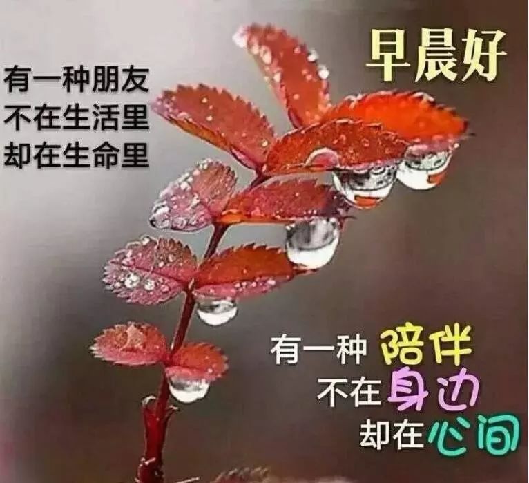 周五最新早上好表情包，事事美好，平安顺心、天天快乐图片