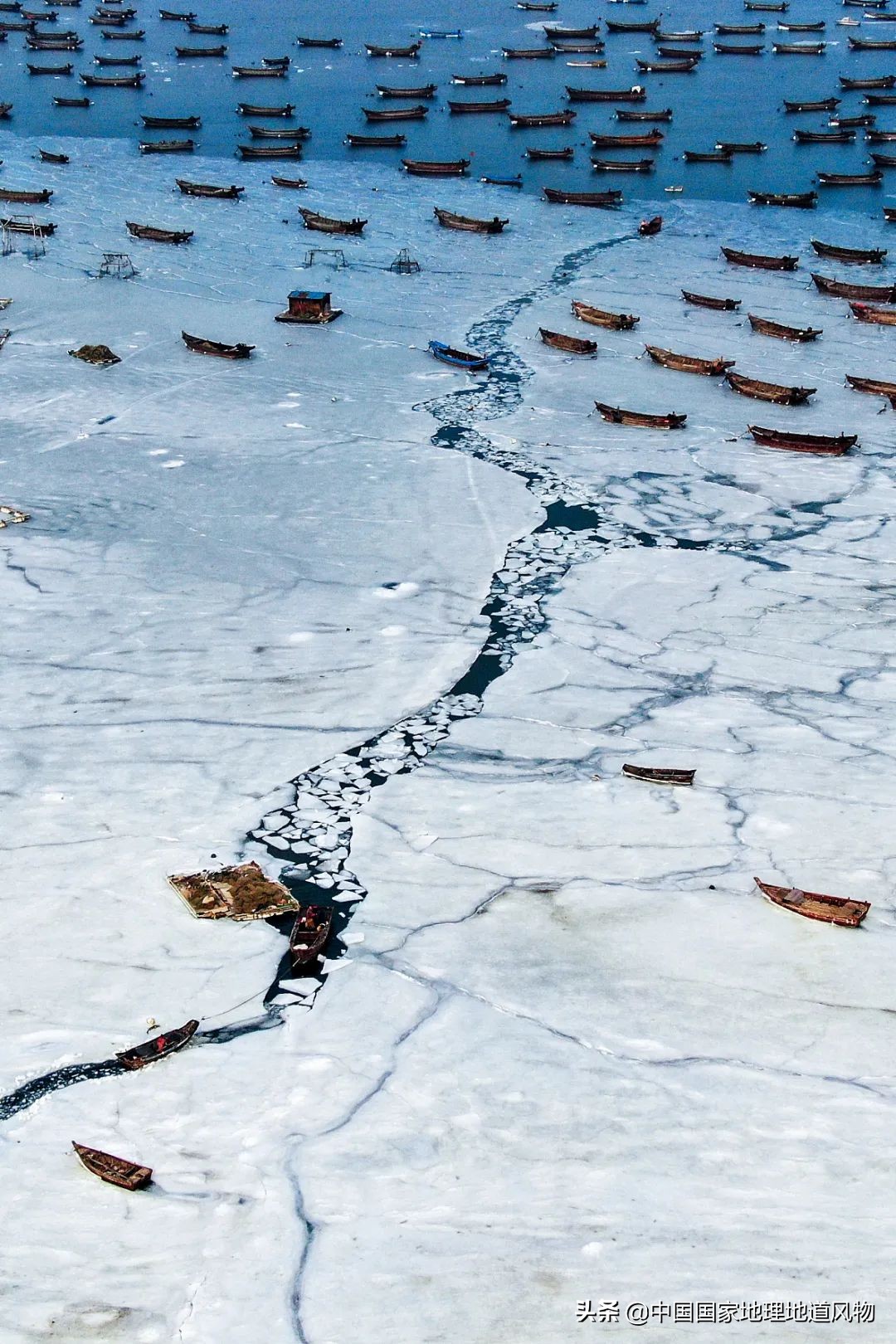 辽宁，被忽略的海鲜大省