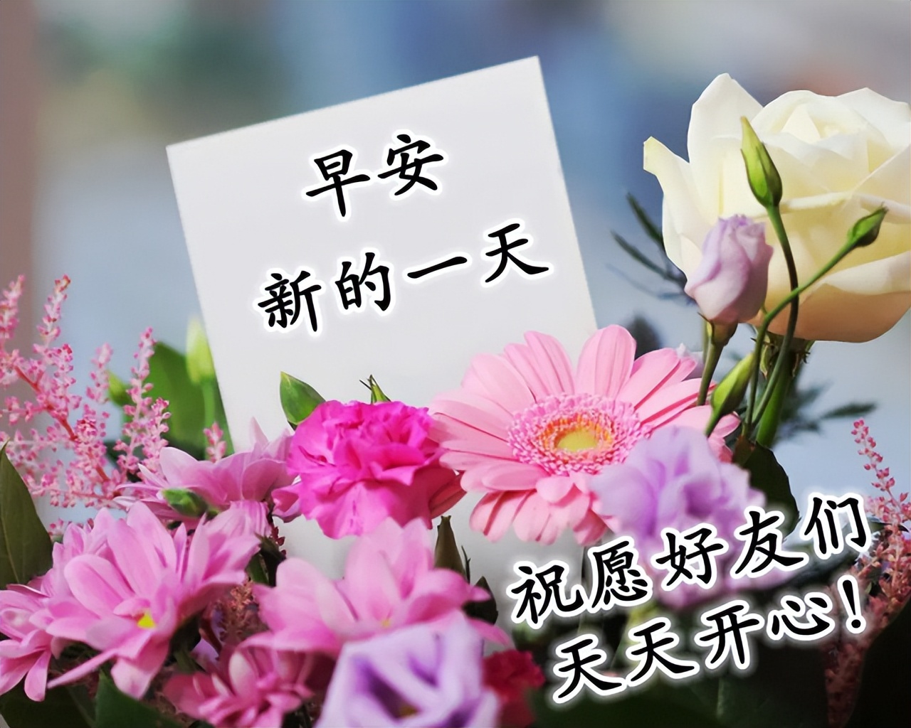 早上好朋友 最新早安动态表情图片 温馨早上好祝福语录 愿山河无恙图片