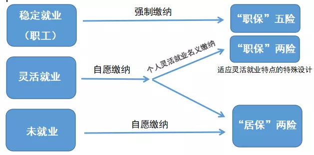 社保怎么自己缴费,社保怎么自己缴费微信