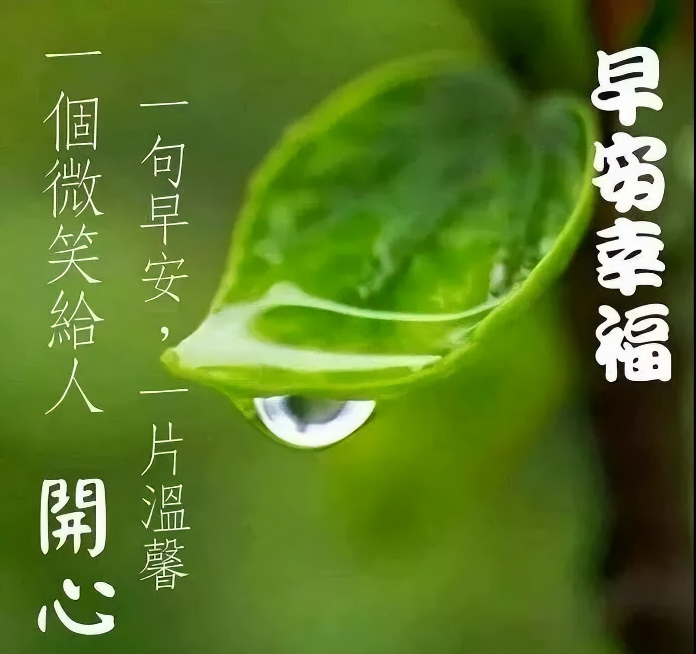 星期五的朋友圈早安问候语早上好祝福 风雨人生，给自己一个微笑图片