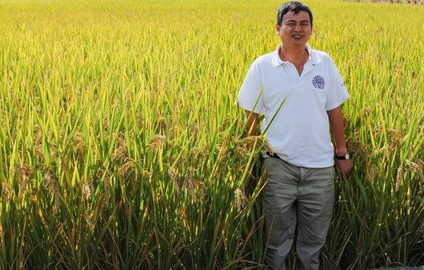 袁隆平为他题字！他破解水稻“密码”，当选中国科学院院士！