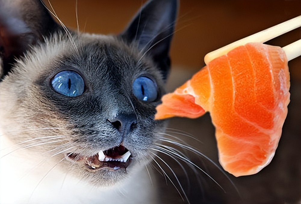 猫咪其实不爱吃鱼，很多人被骗了