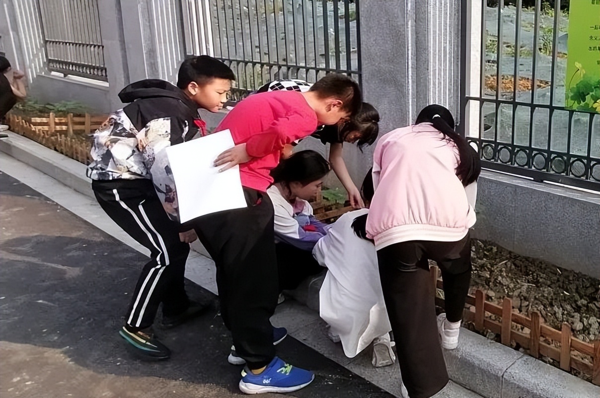 黄甲小学开展“人人参与科技节，我的科技节我做主”科技节活动