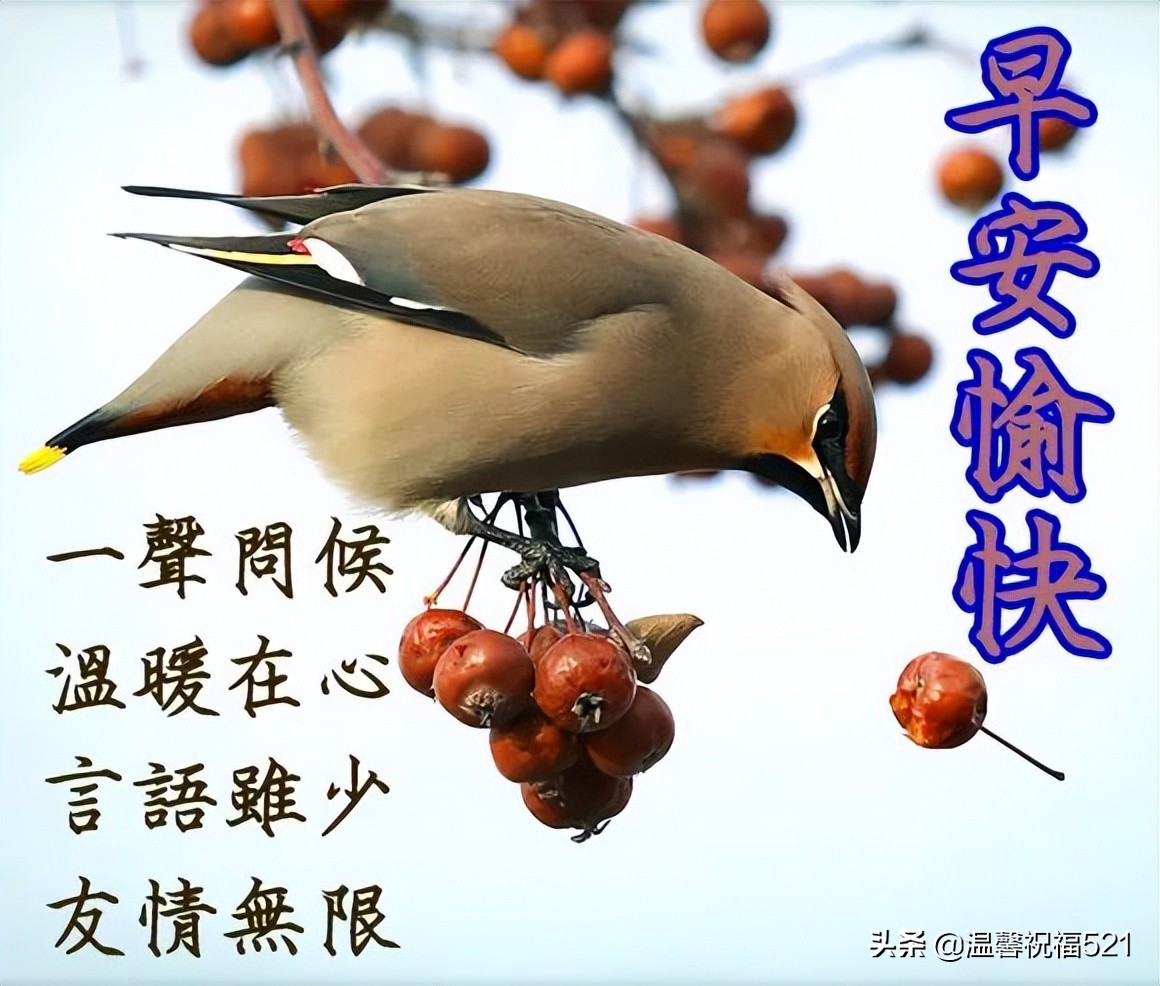 早上好,给老板道声好,祝您乘祥云,日进斗金