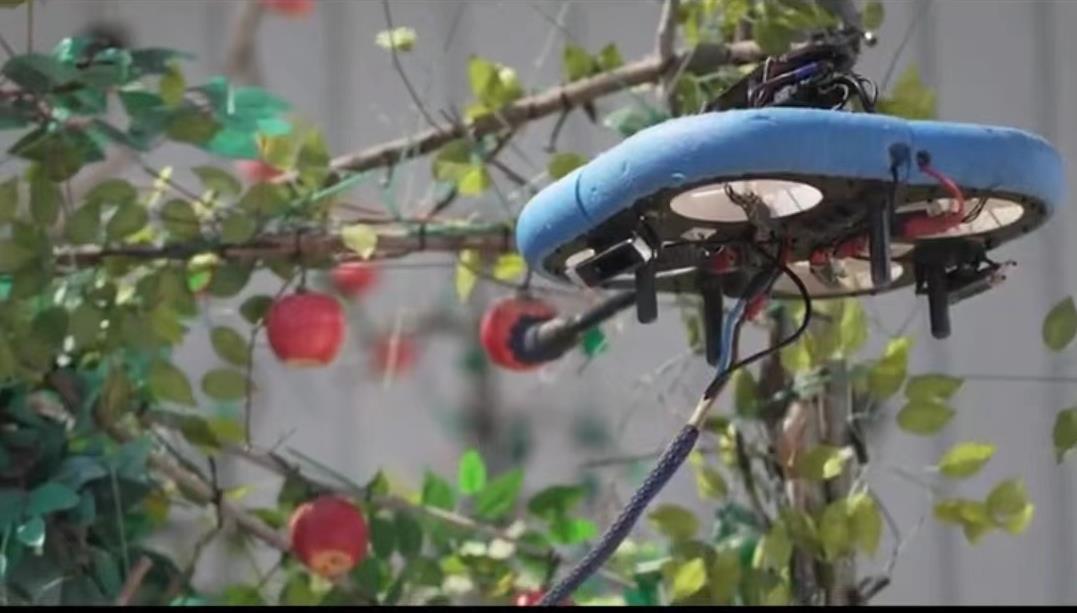 以色列采摘水果不用手24小时作业，AI无人机提高生产效率，长啥样