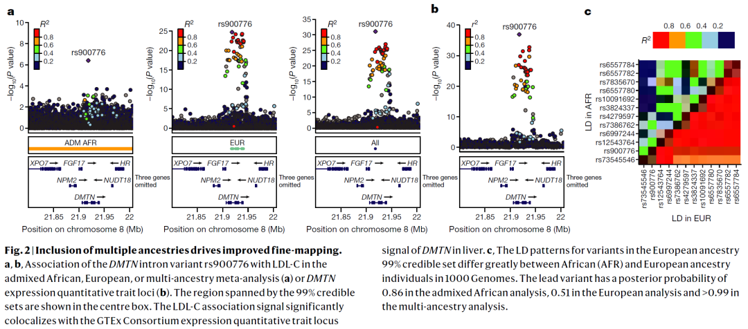 Nature | 165万人全基因组关联分析数据揭示进一步提升其能力的关键
