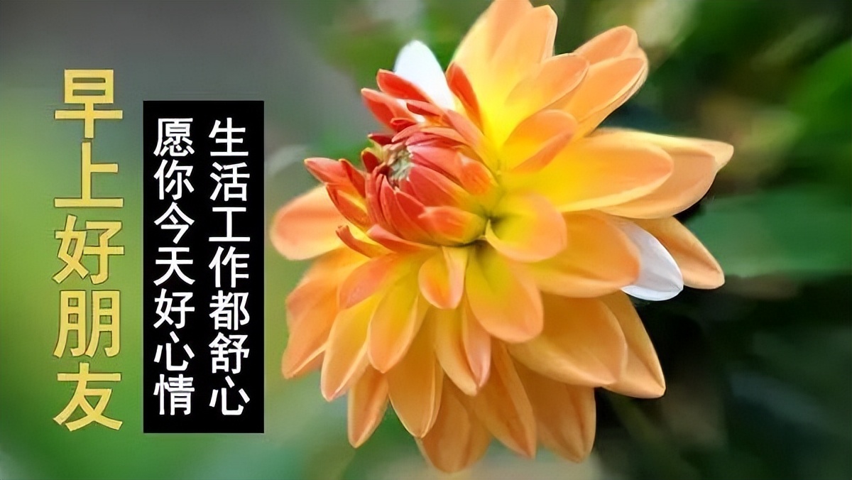 新周早上好动态表情图片，早晨好动图美图，愿我们健康快乐每一天图片
