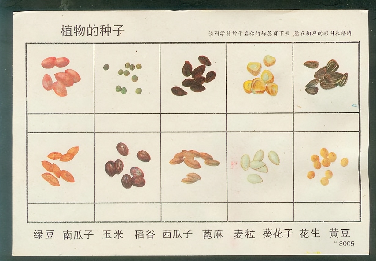 中小学生要学习“煮饭”？劳动课即将回归，部分家长偷着乐