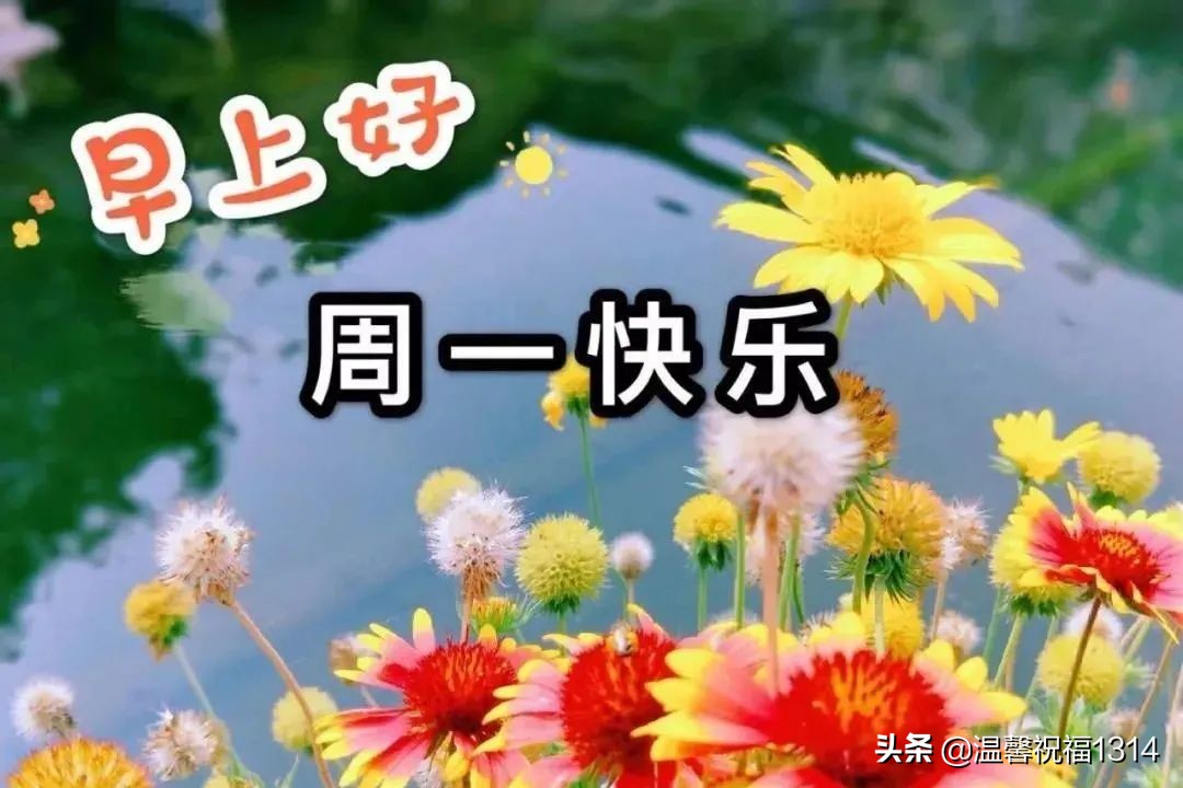 星期一优美早安心语 简短星期一早安祝福语_qq说说网
