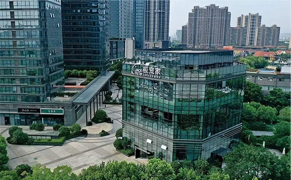 掏空年輕人錢包的寵物經濟，“大而全”與“小而美”并存