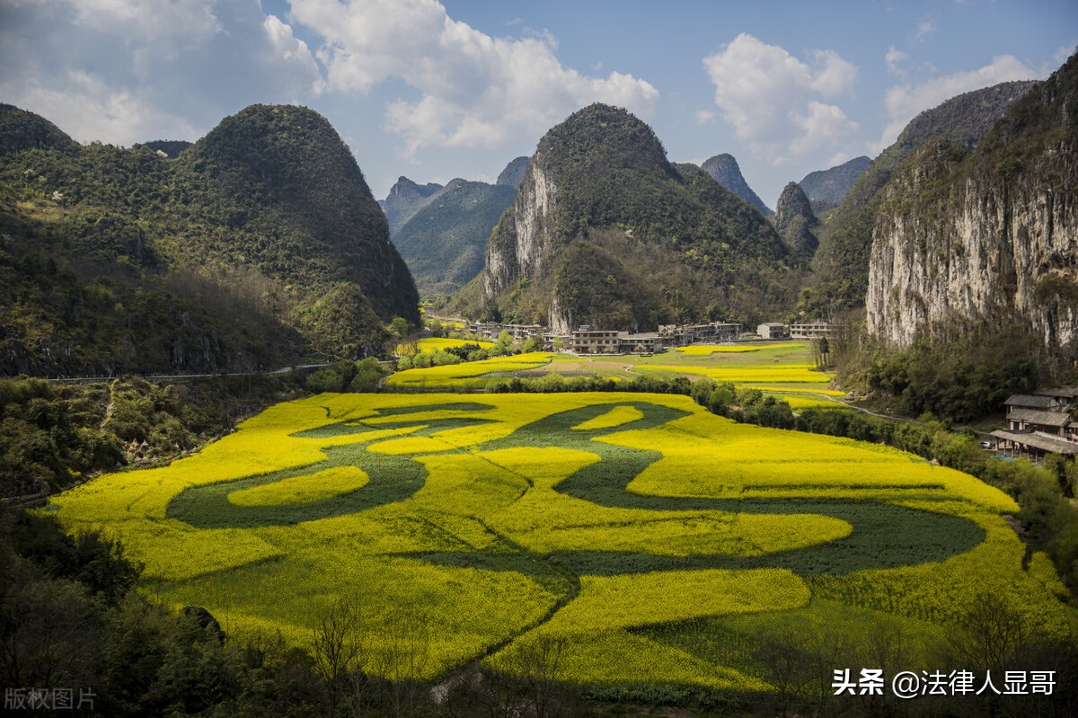 被告代理词,被告代理词格式范文