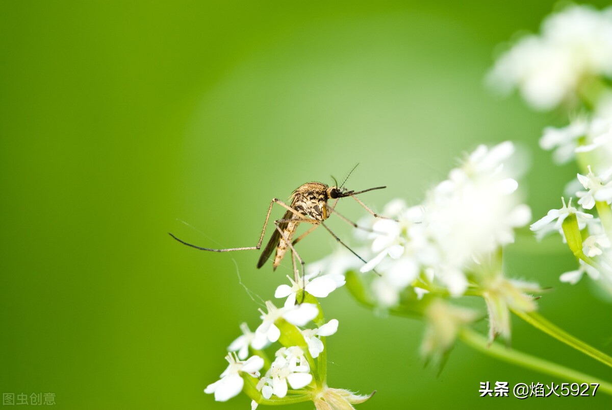 描写春天比喻的句子，收藏起来给孩子写作文参考