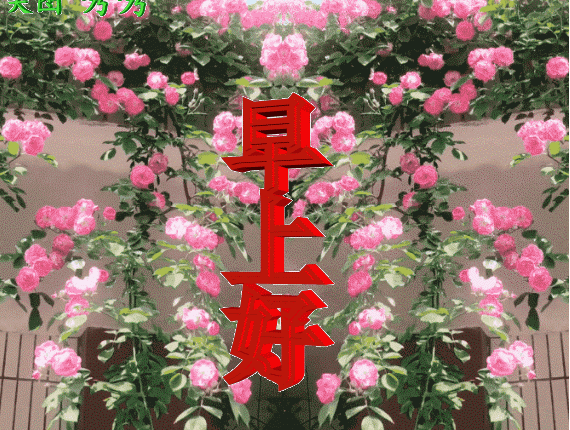 唯美温馨的早上好动态表情包 幸福满满，快乐每一天图片