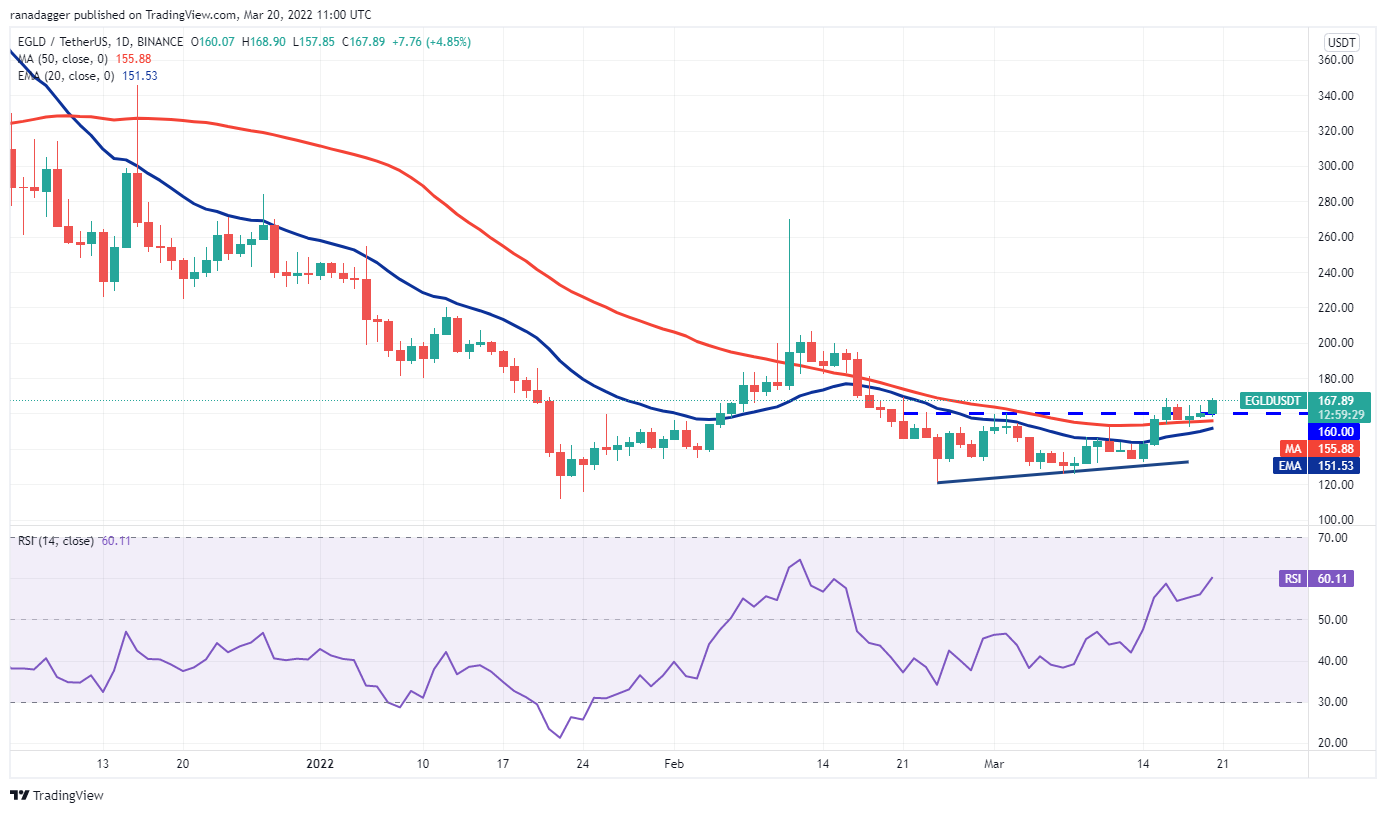 本周值得关注的 5 大加密货币：BTC、LUNA、AVAX、ETC、EGLD