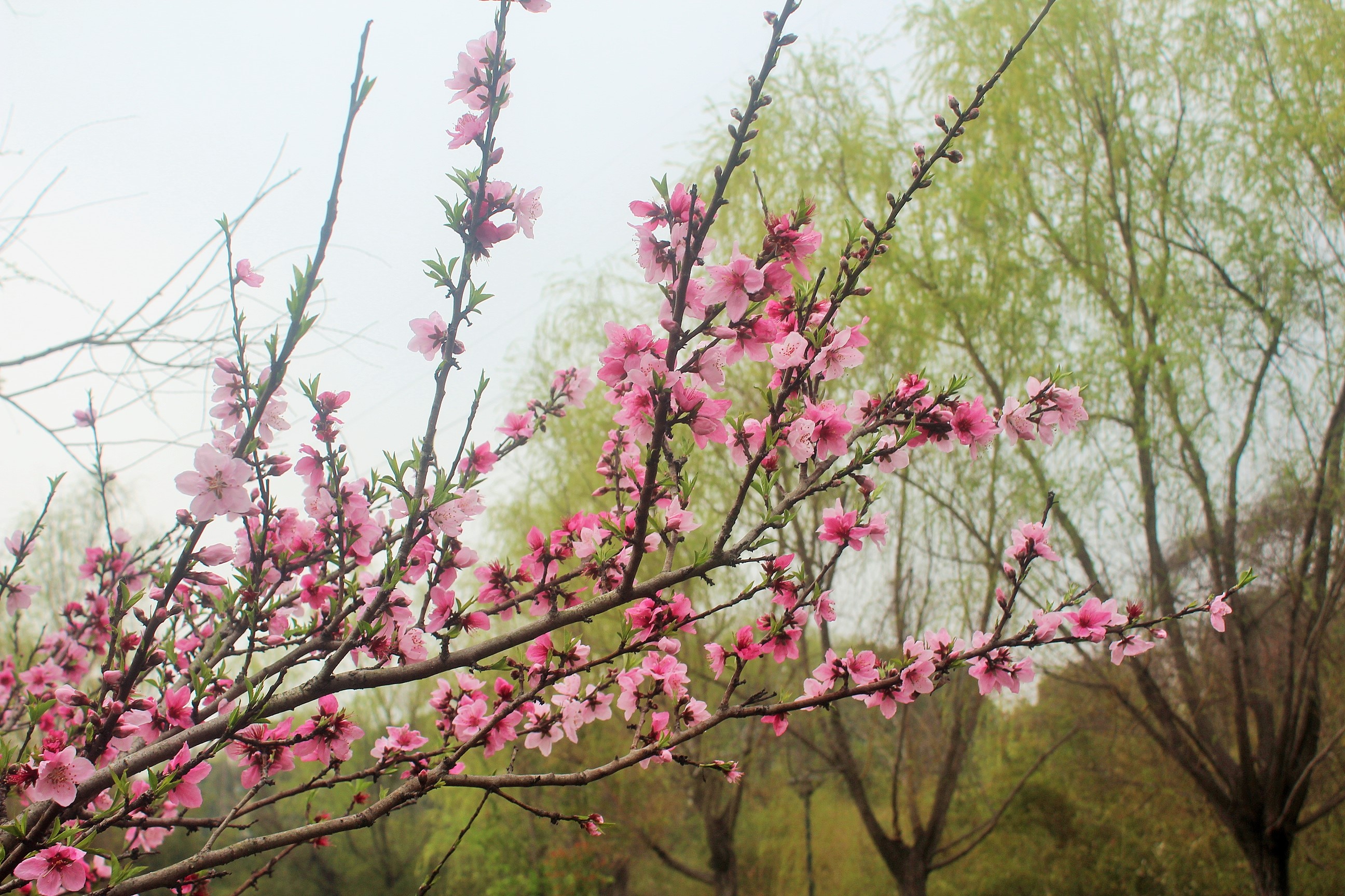 印資企業(yè)初印象