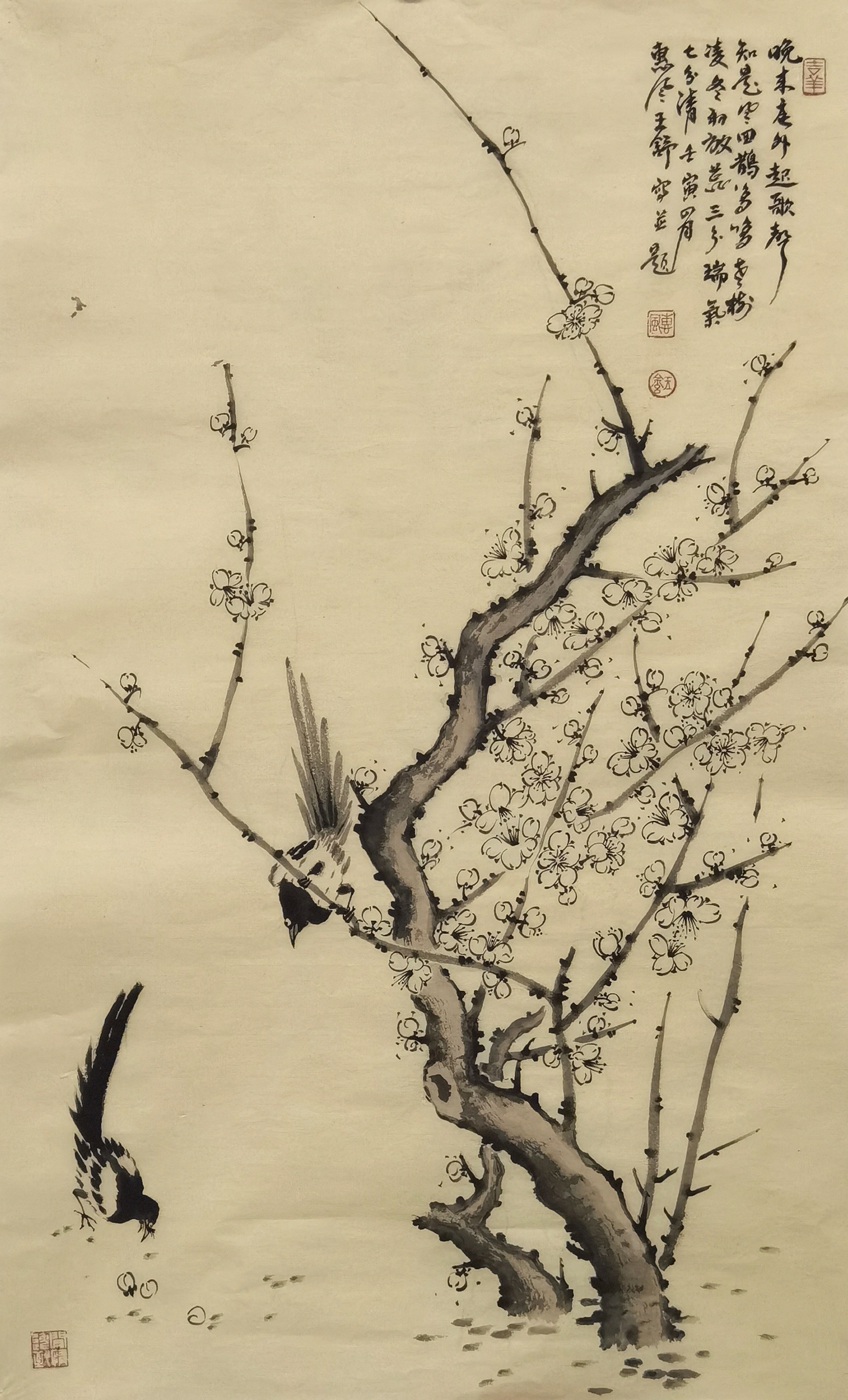 新锐画家王舒作品赏析