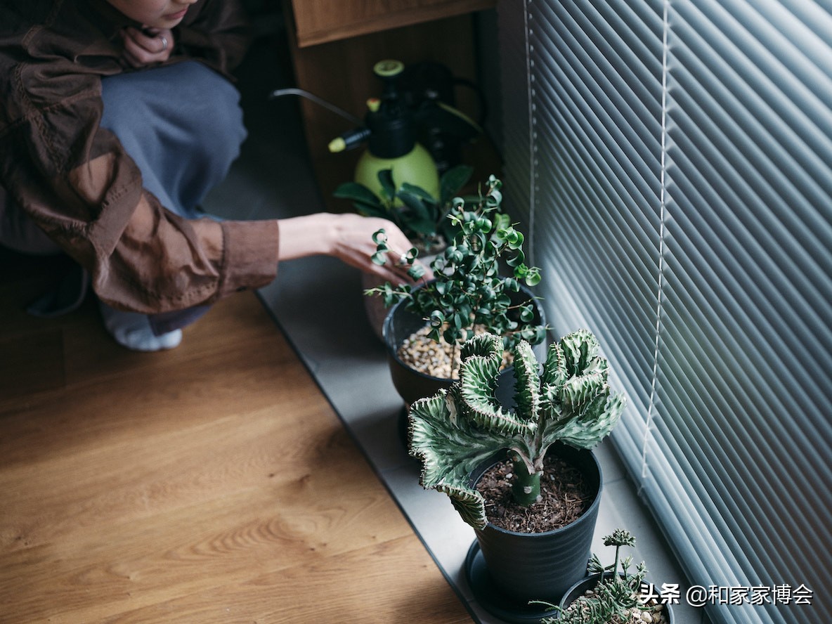 36年两层日式摩登工业风住宅改造案例