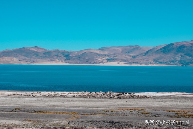 阿里南线｜西藏往西，奔赴滚烫山河