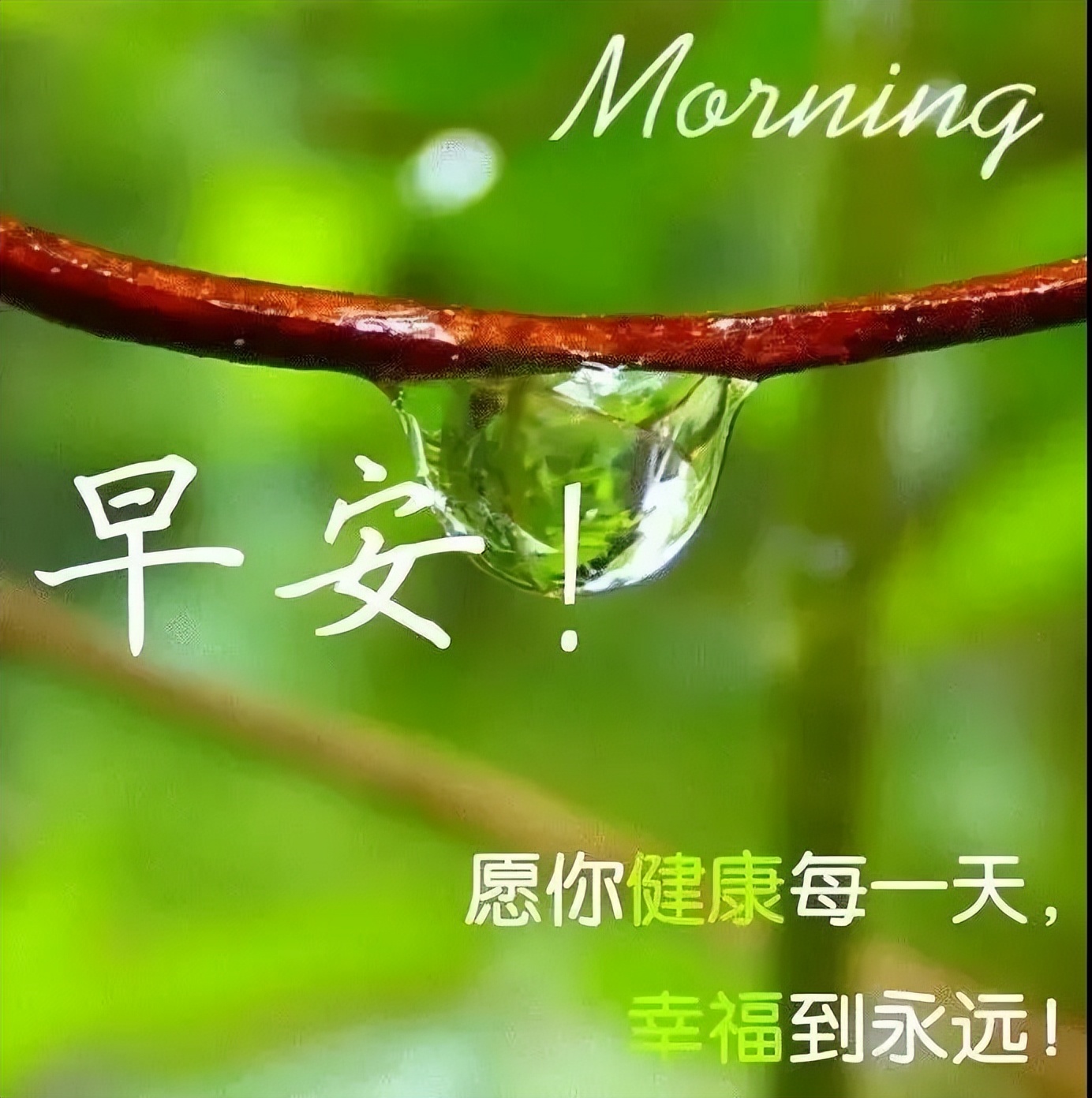新的一天温馨美好祝福 祝愿你天天幸福快乐、一切安好图片
