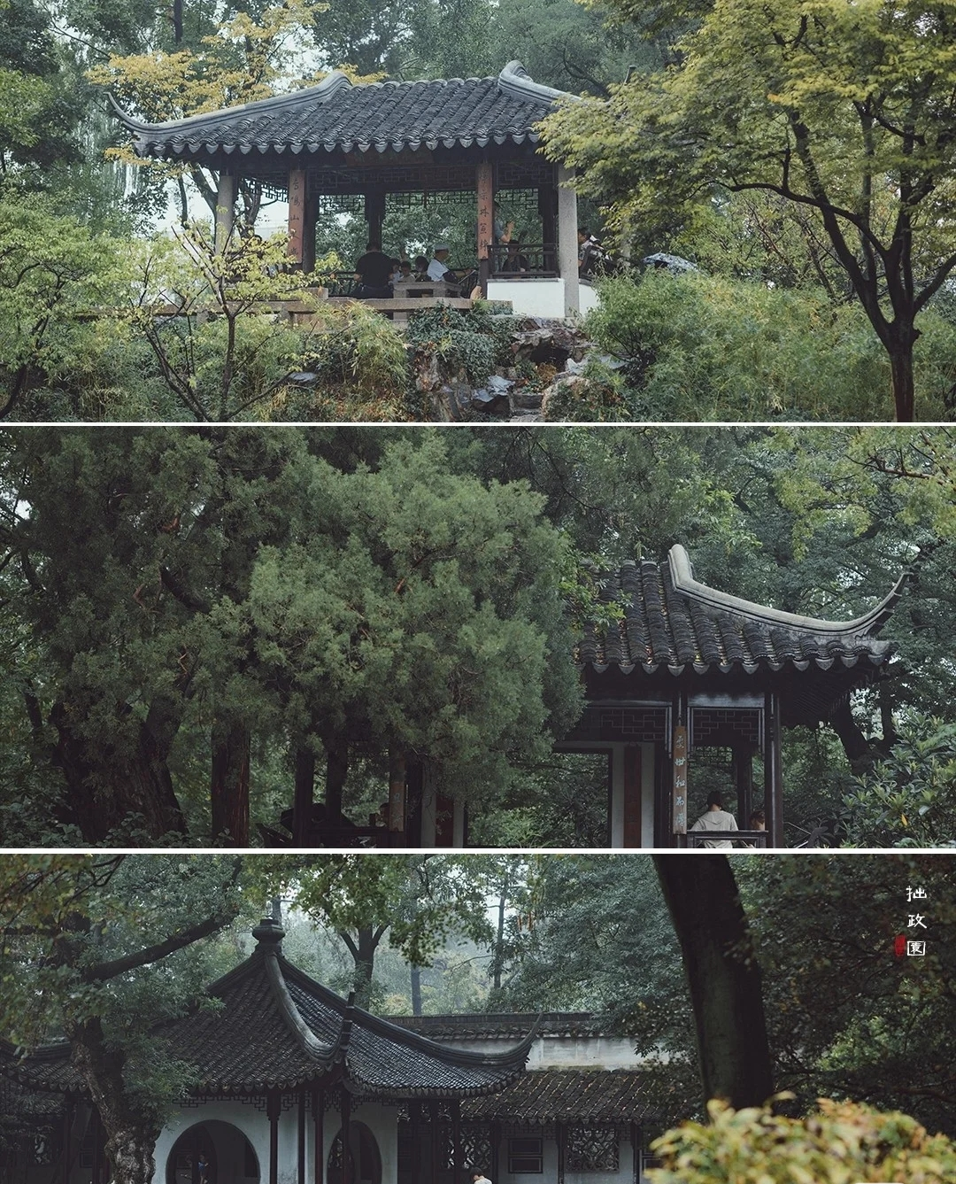 每次一下雨，就想离开苏州