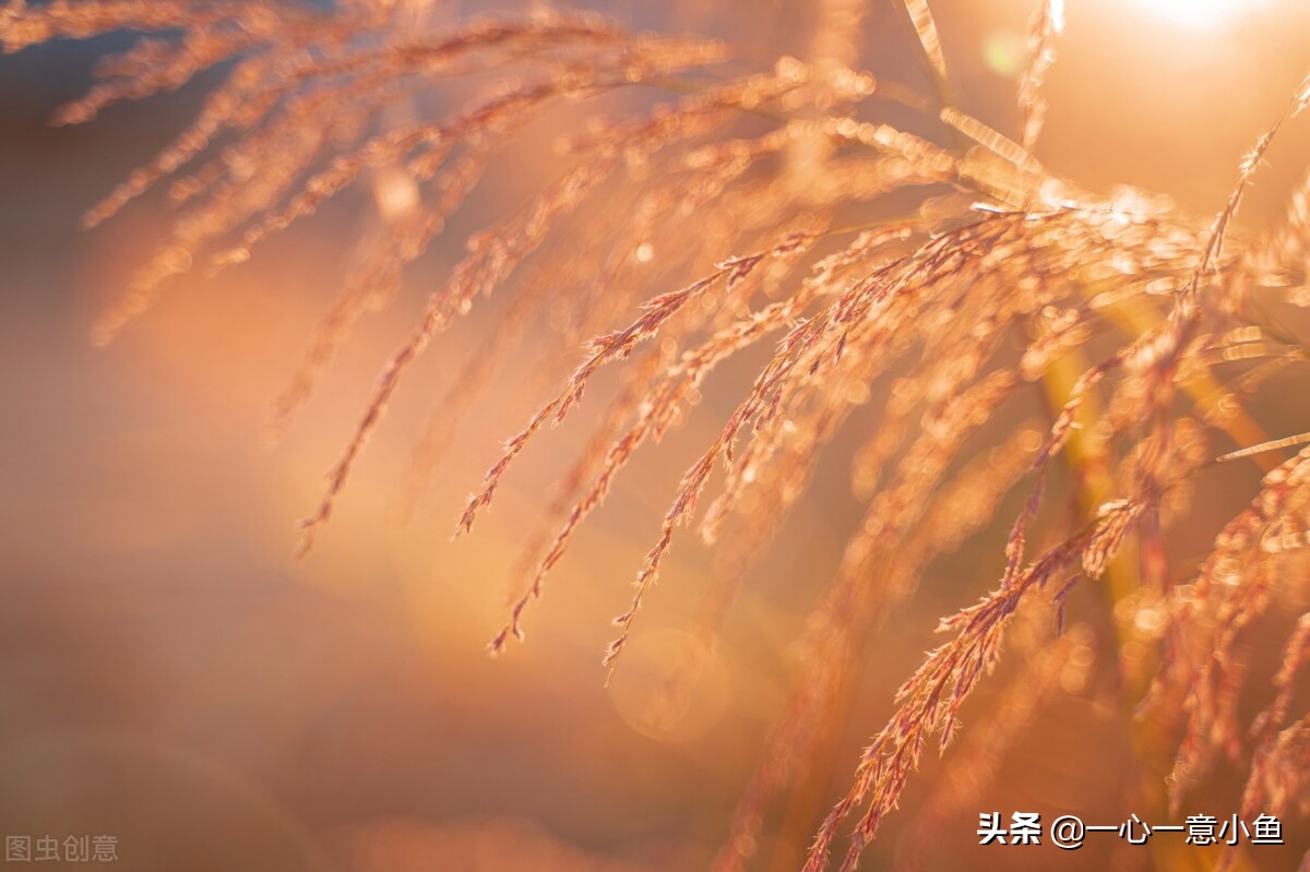 时间是让人措不及防的东西，但是它却教会了我这8个道理