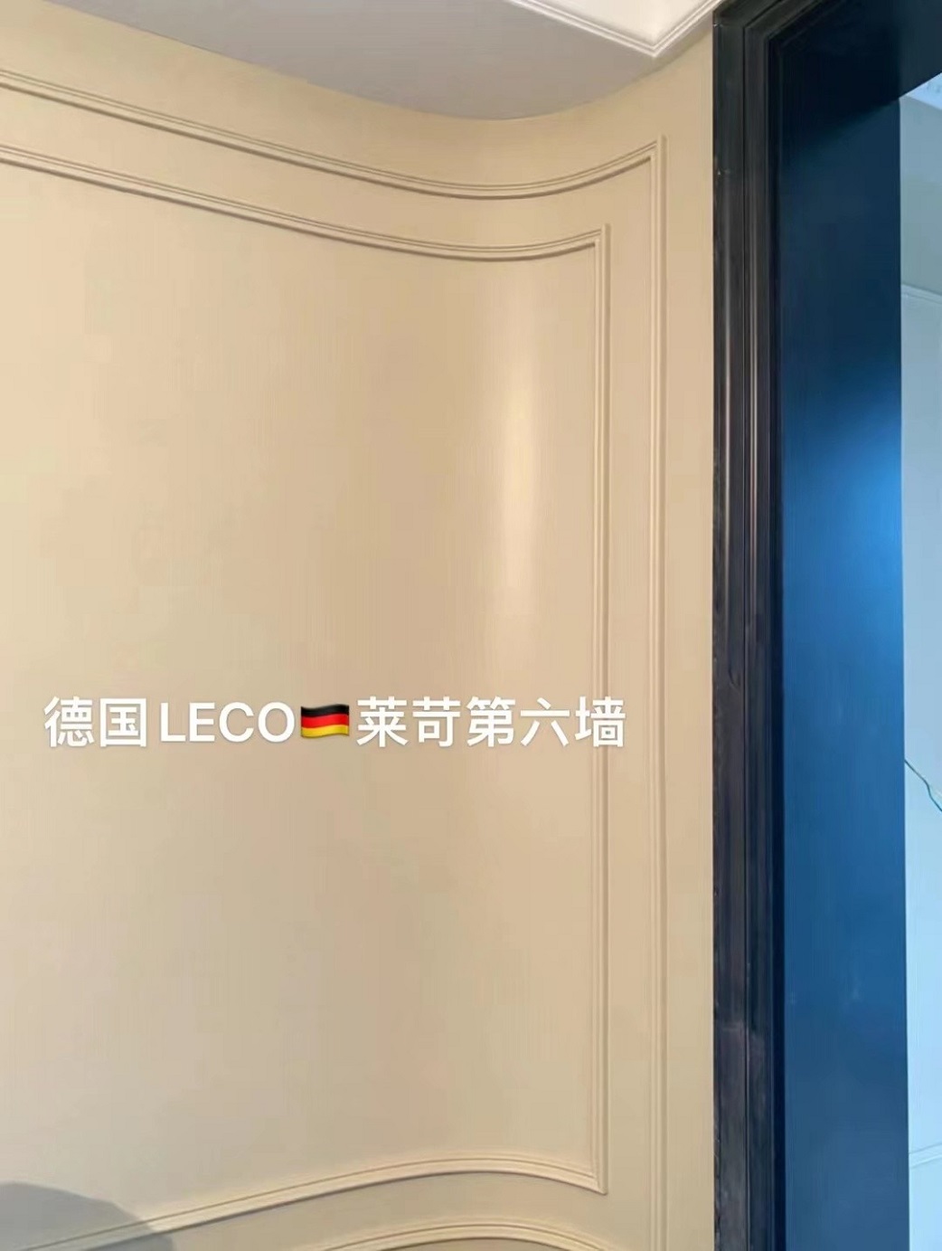 纯色艺术涂料-未来艺术漆市场的顶流（记：德国LECO莱苛集团）
