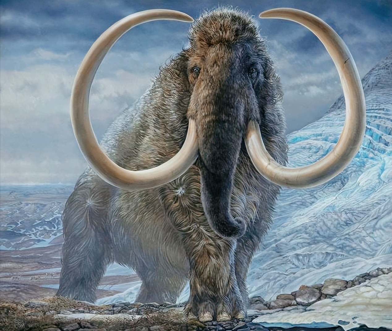 加拿大北部冻土带内：发现4万年前的动物遗骸，人类该警惕了吗