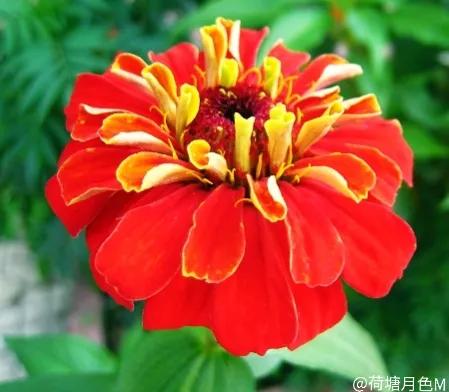 春天里，春风得意马蹄疾，一日看尽长安花