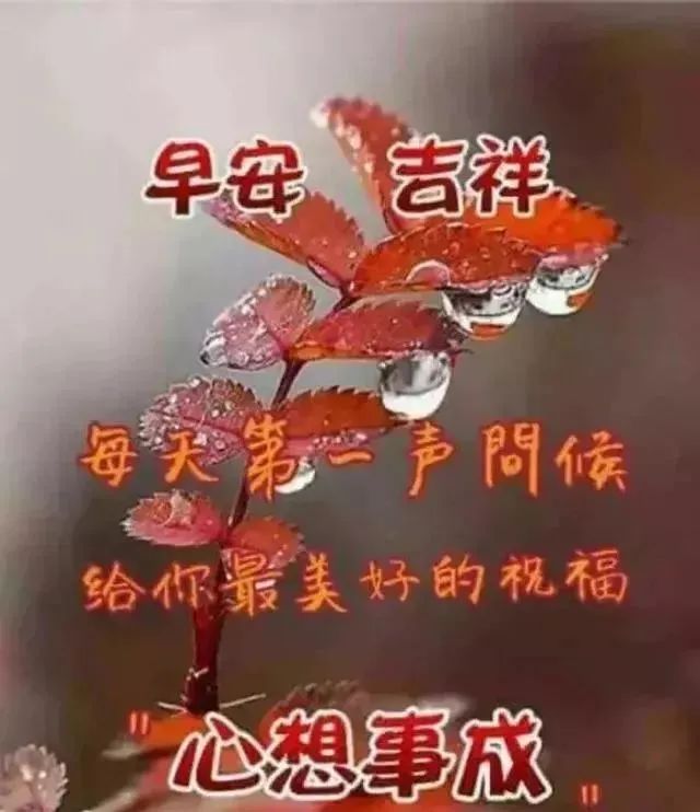早上好朋友，微信早上好问候语专辑 不要仰慕别人，自己亦是风景图片