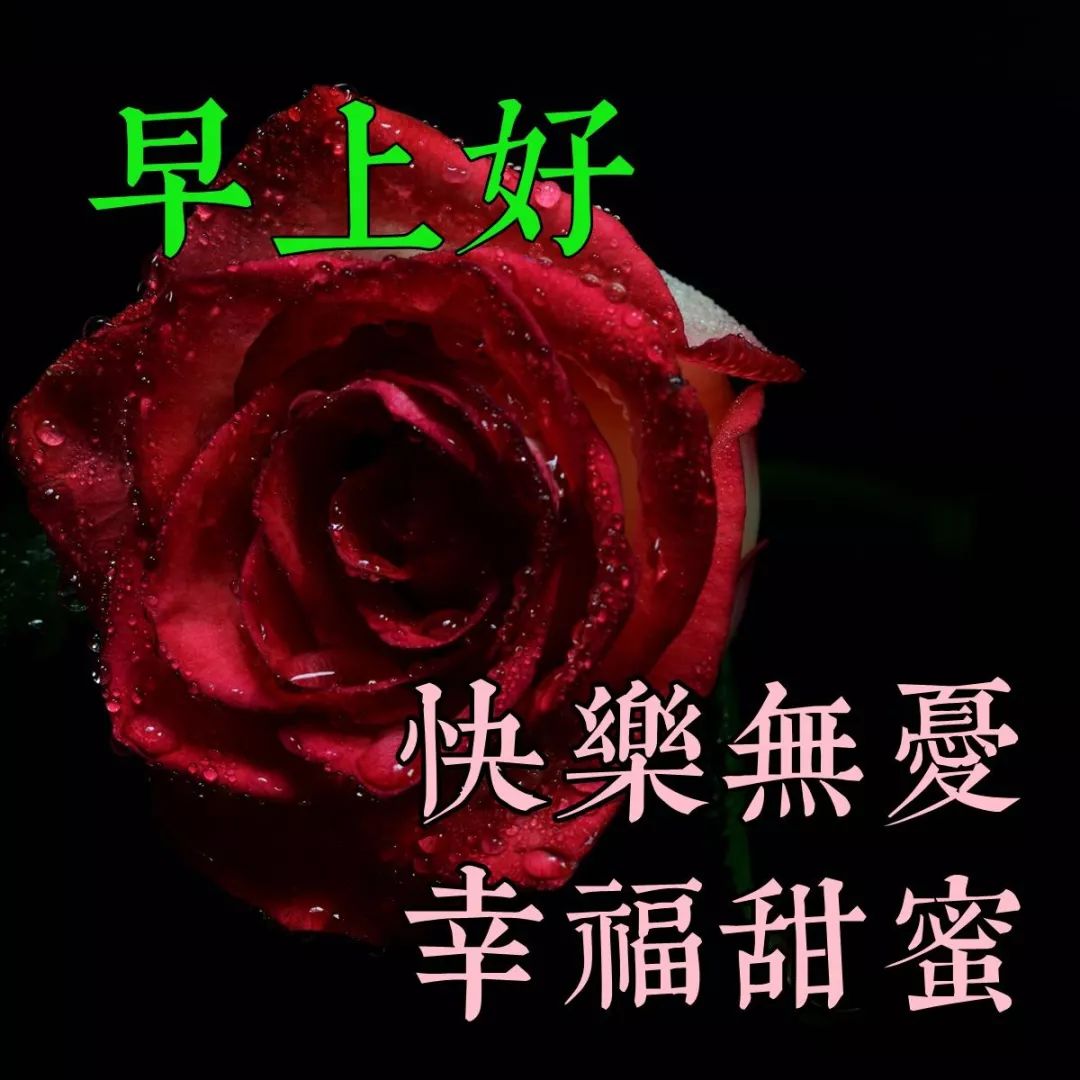 12张创意全新早上好群发温馨问候语 相聚是缘分，同行是快乐图片
