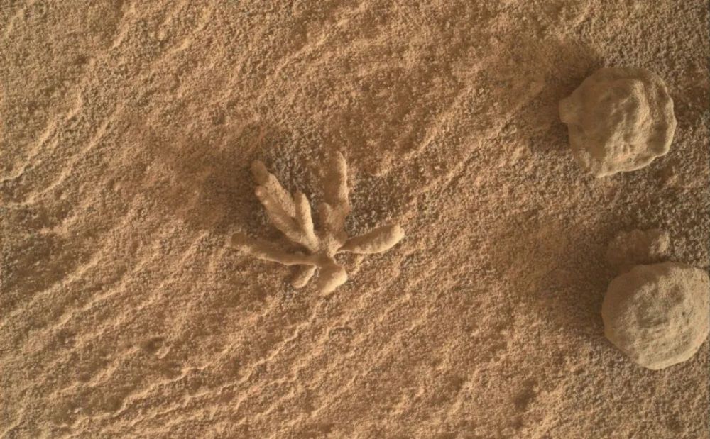 美国好奇号又有新发现，神秘“小花”现身火星，这意味着什么？