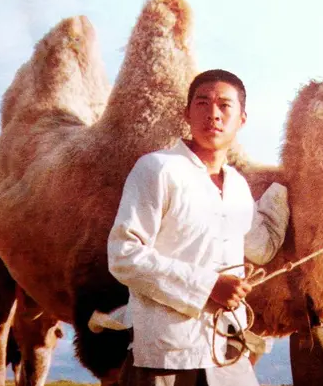 老舍作品《骆驼祥子》一场有性无爱的婚姻 撕开了男人的冷漠与无能