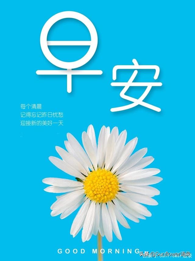 正能量早安心语，努力工作，自力更生，创造更好的自己