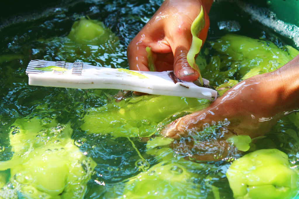 初学写作不知如何下笔？教你5个方法搞定素材，1个模板搭起框架