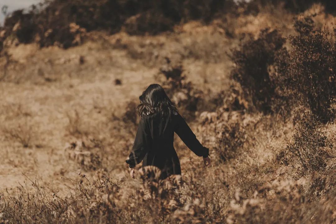 当你陷入情绪困境,读一读《也许你该找个人聊聊》,你会被治愈