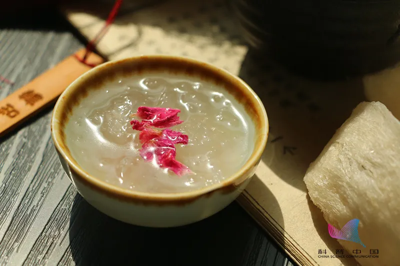 特别的礼物（最近很火的礼物是什么）
