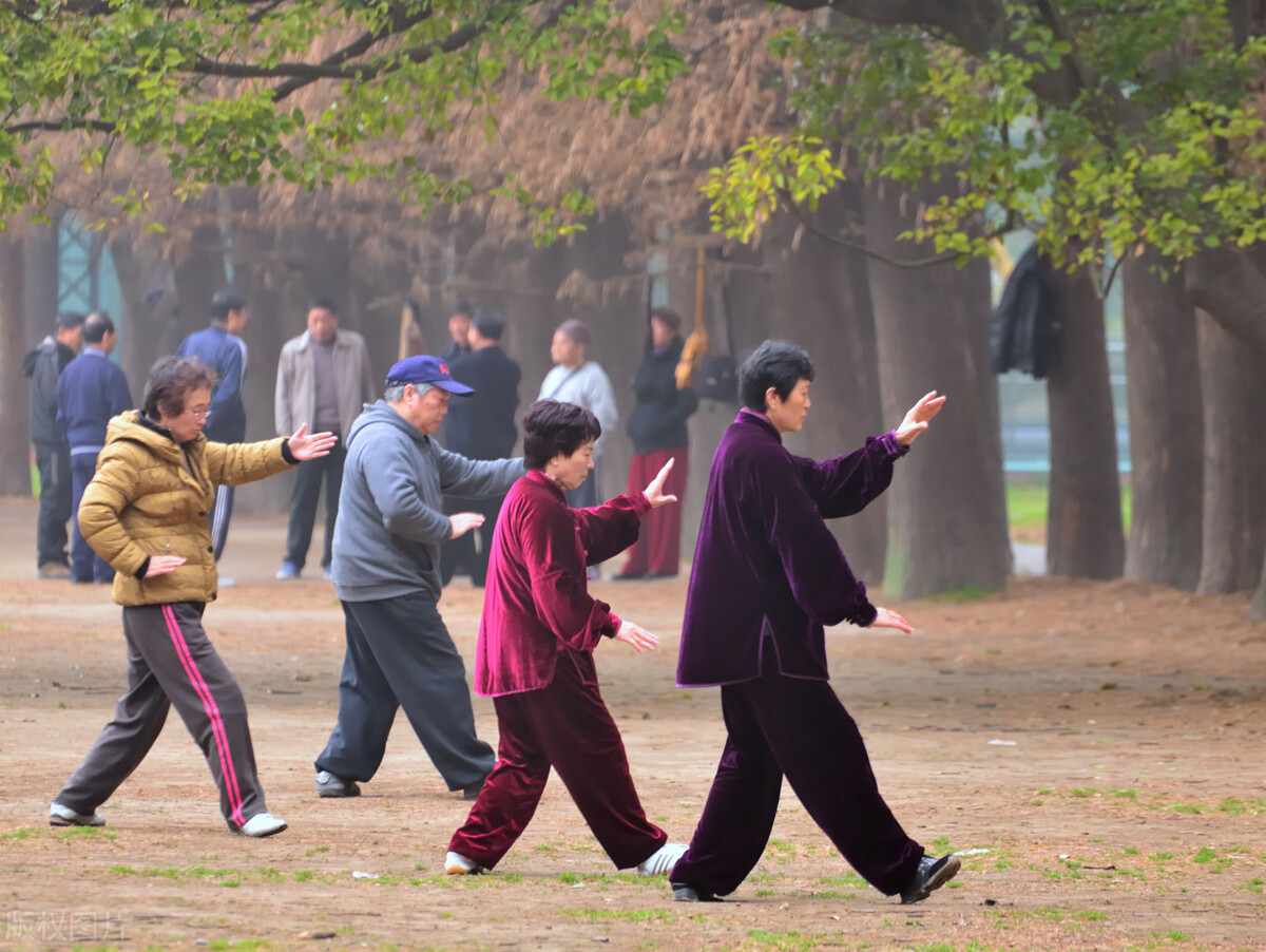 互联网催生养老业新蓝海，共享轮椅企业瞅准时机，吃了第一只螃蟹